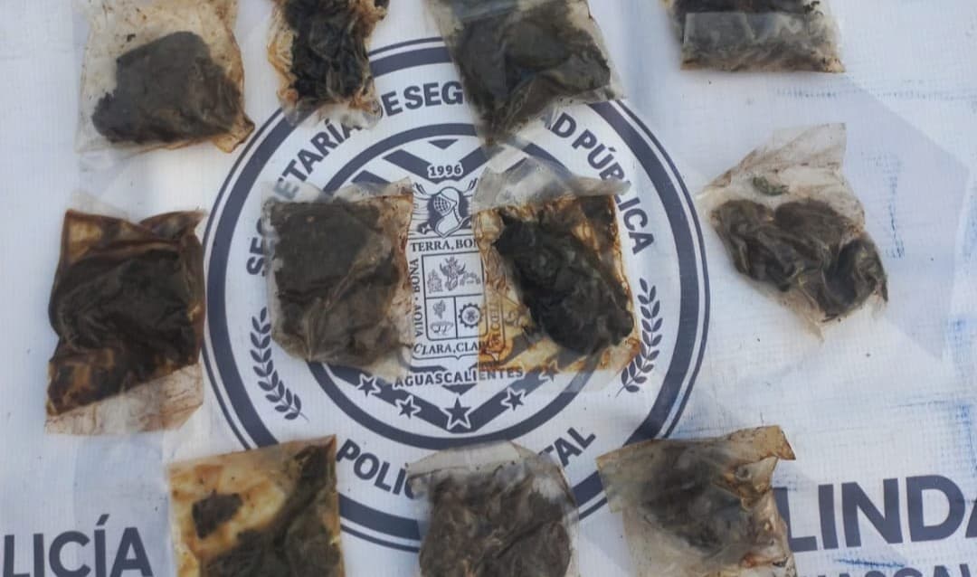 Estatales se "tropezaron" en su patrullaje con 11 envoltorios con marihuana - imagen de origen